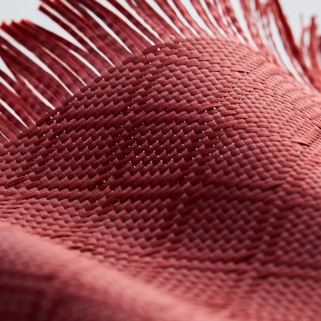 PITAKA's Harvard University Series Phone Case