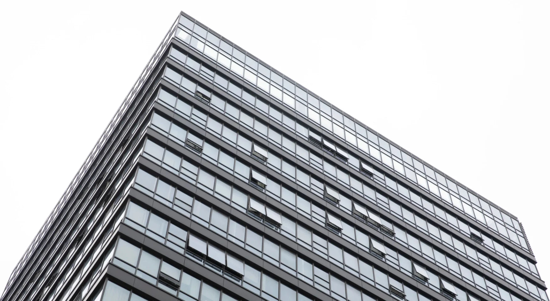 PITAKA Company Frontend