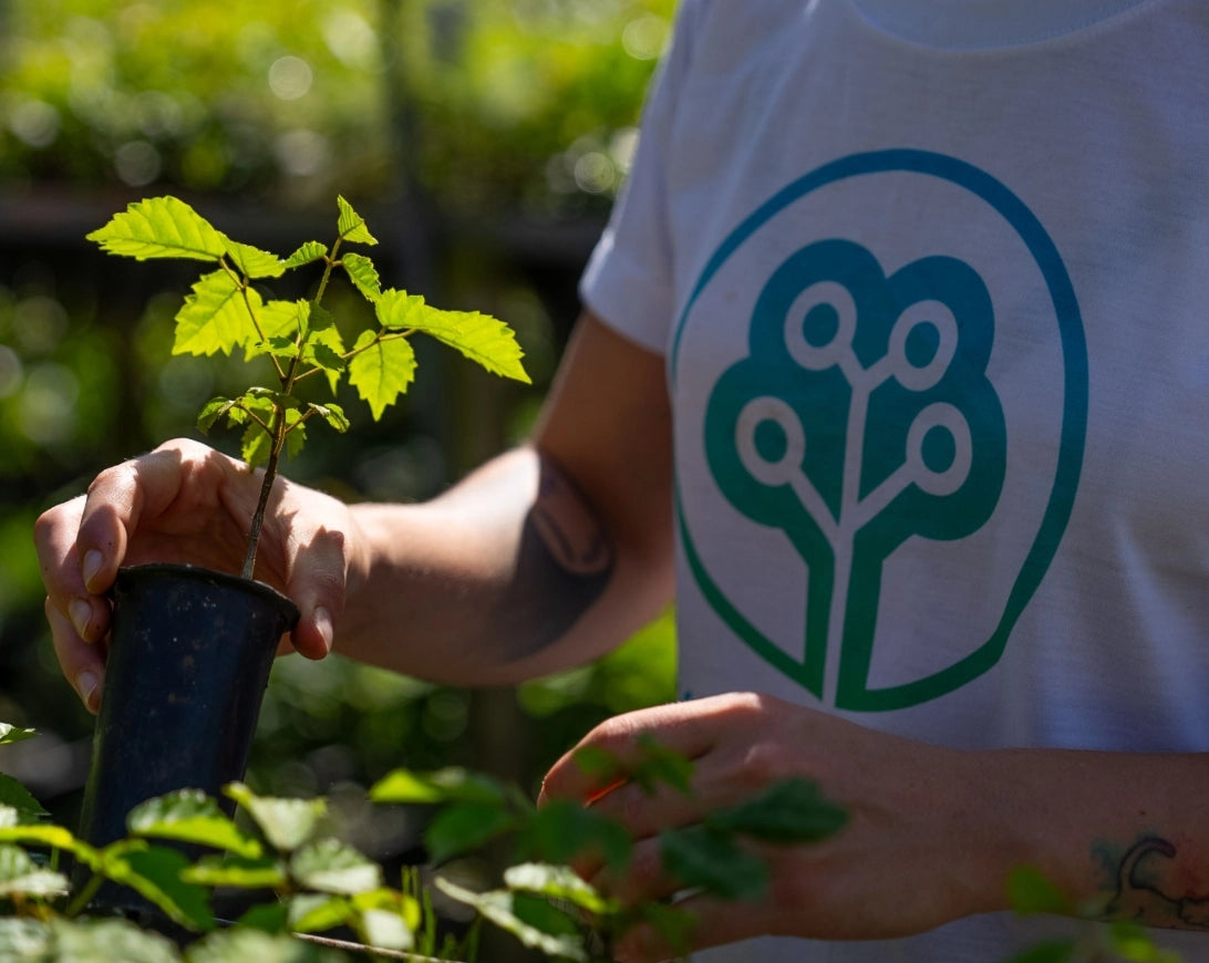 Breath of Veins Phone Cases
