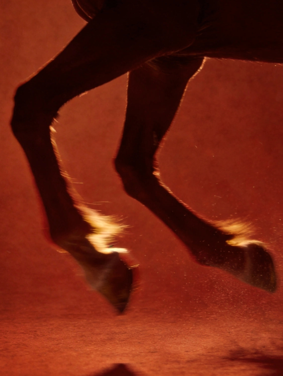 Happiness Rides In Phone Cases