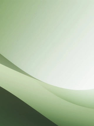 Carbon Fiber Watch Band