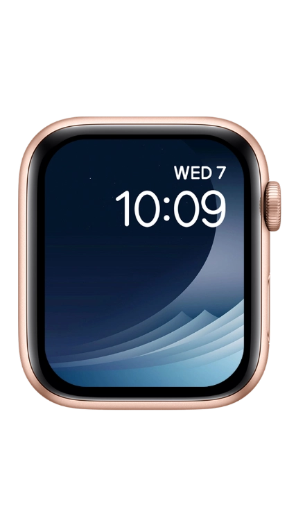 PITAKA Christmas 2023