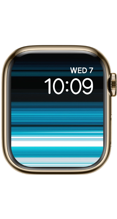 PITAKA Christmas 2023