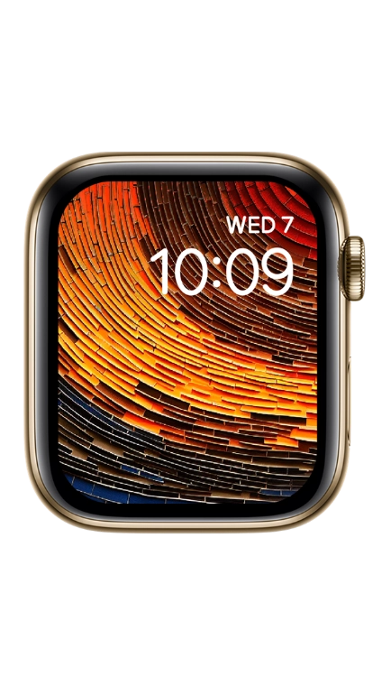 PITAKA Christmas 2023