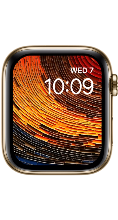 PITAKA Christmas 2023