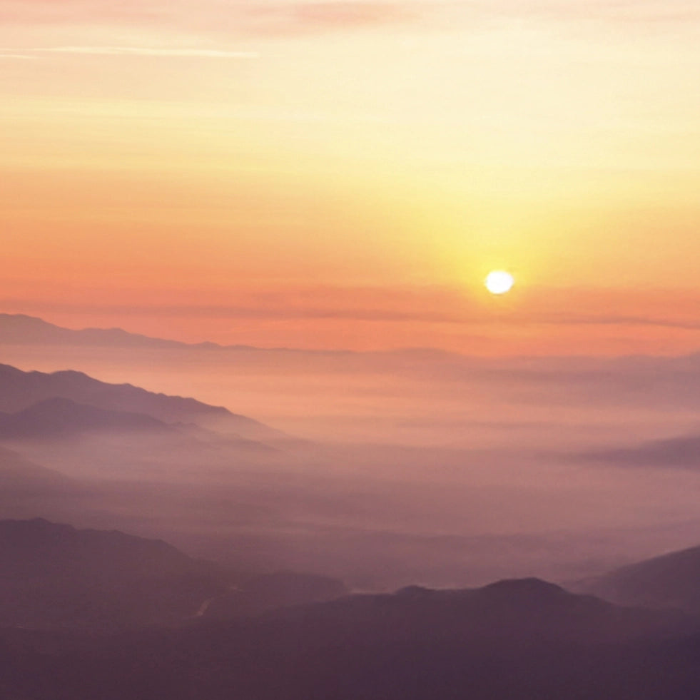 Sunset Moonrise Phone Cases