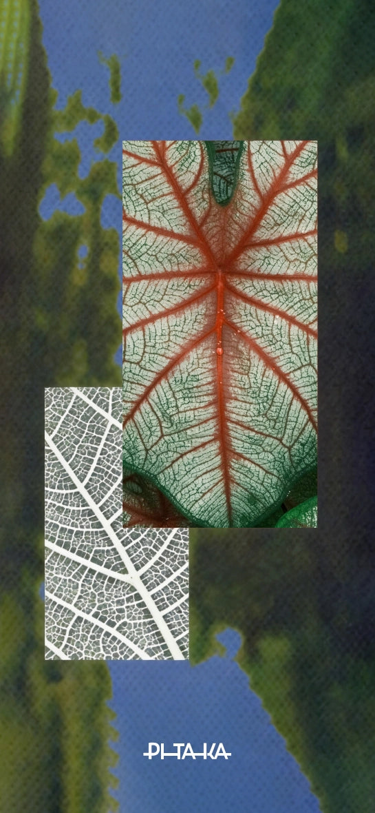 Breath of Veins